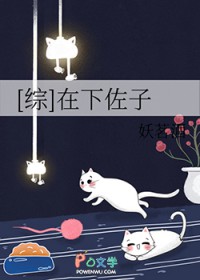 [综] 在下佐子